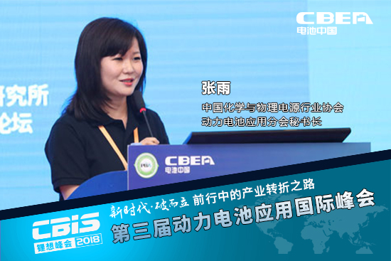 張雨，中國化學與物理電源行業協會動力電池應用分會秘書長